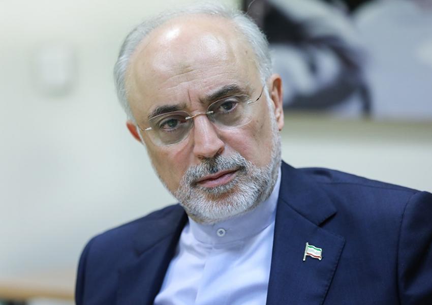 صالحی: ایران نمی‌تواند بین روسیه و اوکراین میانجیگری کند