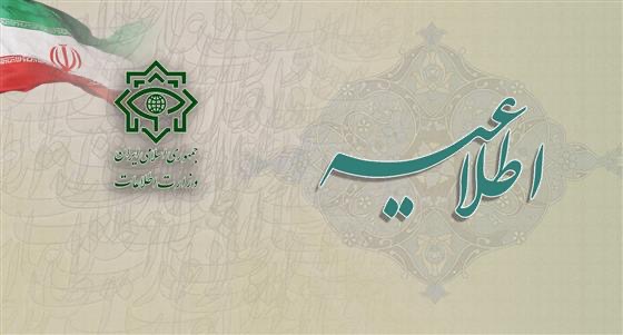 وزارت اطلاعات : ٧١ اخلالگر ارزى در ۲۳ شبکه دستگیر شدند