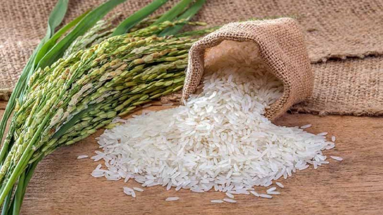 ممنوعیت صادراتی هند قیمت جهانی برنج را افزایش داد